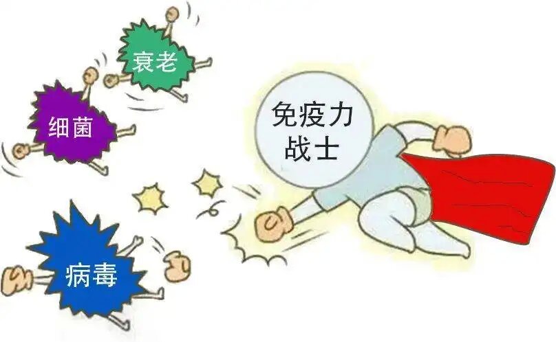 �������Կ�����