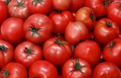 ̫���ɼ���61999(�й�)�����޹�˾�Ƽ�