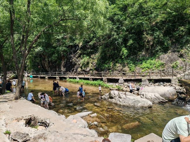 ̫���ɼ���61999����