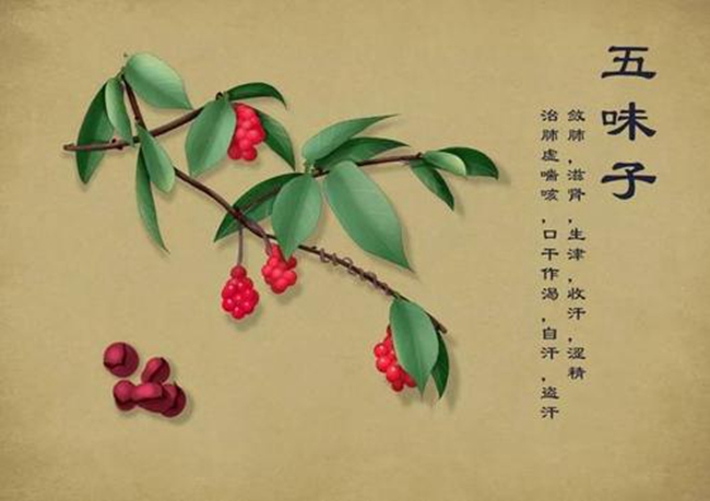 ̫���ɼ���61999(�й�)�����޹�˾�Ƽ�