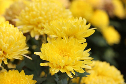 ̫���ɼ���61999(�й�)�����޹�˾�Ƽ�