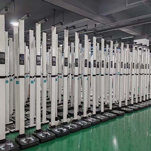 ��������֬����